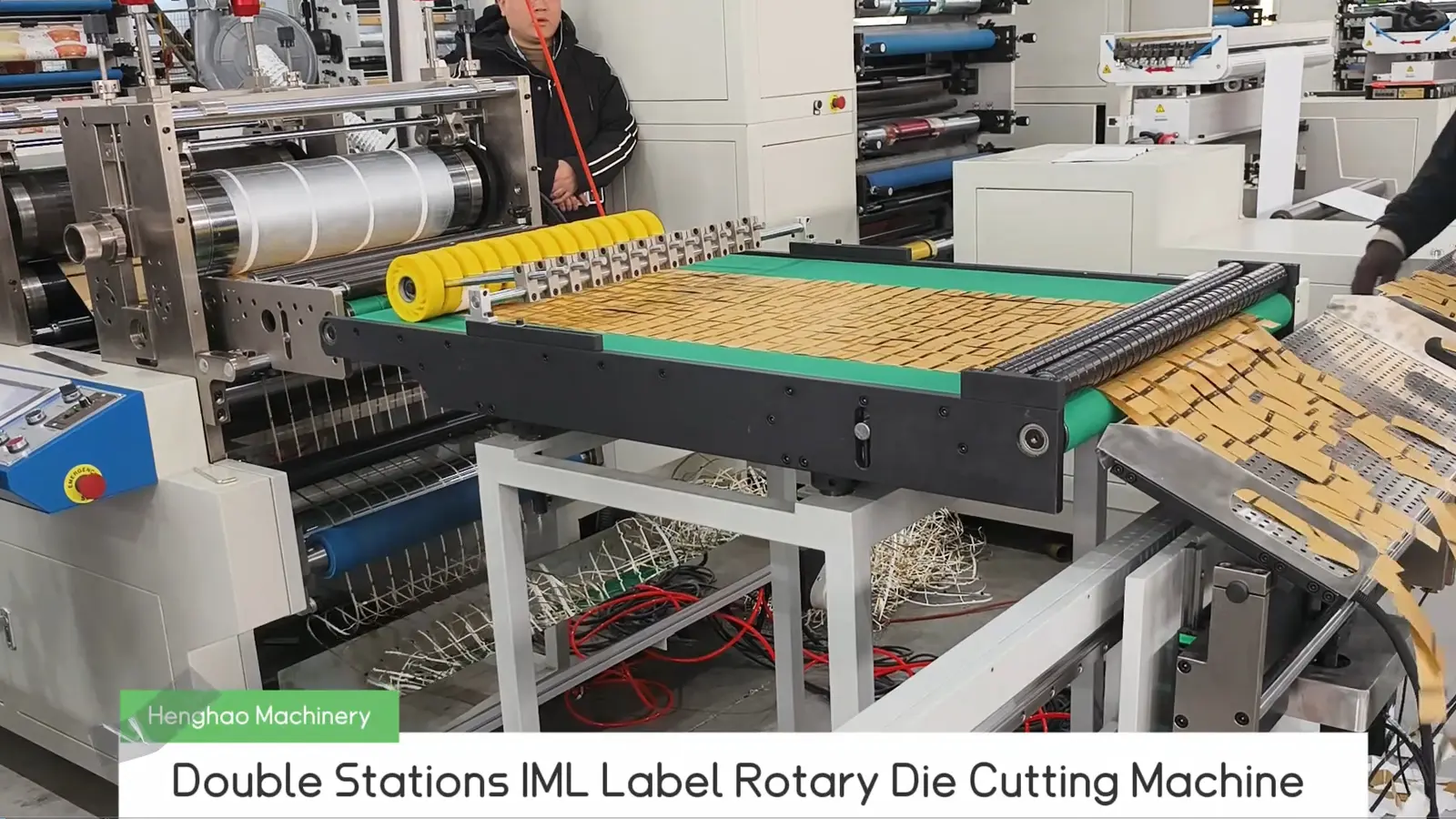 Machine de Découpe Rotative pour Étiquettes IML à Double Station HMQ-350JE Matériaux personnalisés